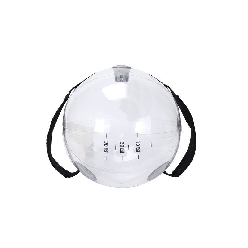 Inflatable Water Weight Fitness Ball